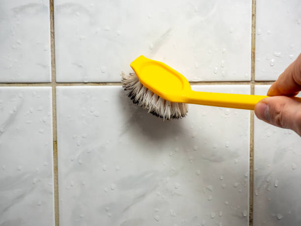 Mold Testing and Removal in Kahuku, HI
